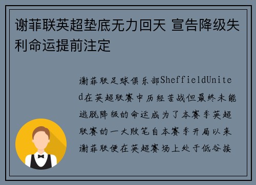 谢菲联英超垫底无力回天 宣告降级失利命运提前注定